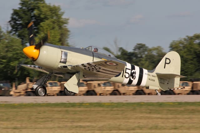 - Warbird