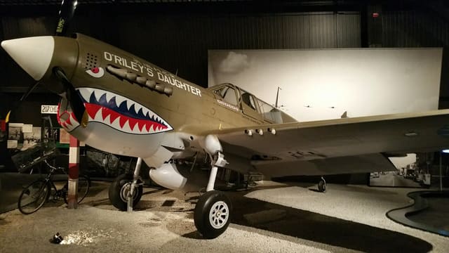 - Warbird