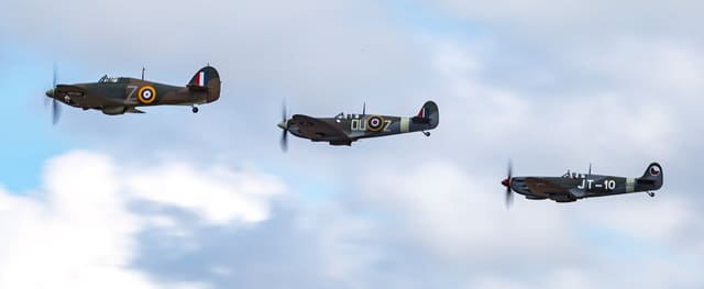 - Warbird