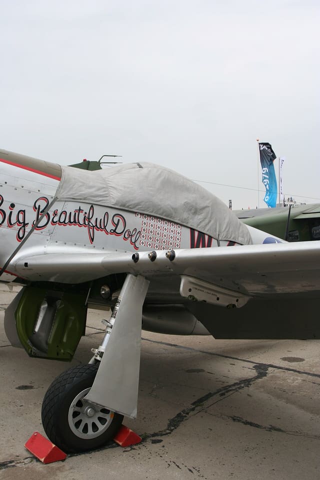 - Warbird