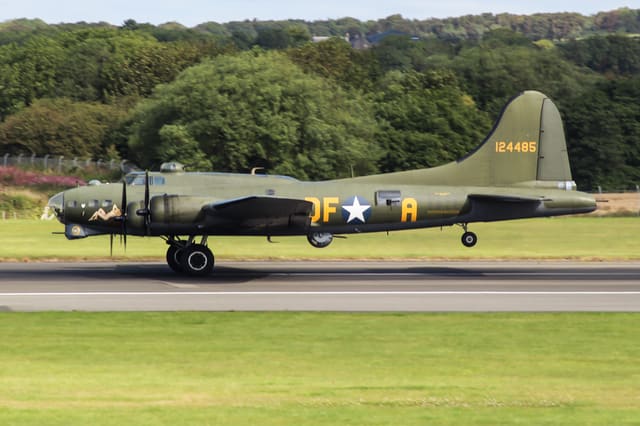 - Warbird
