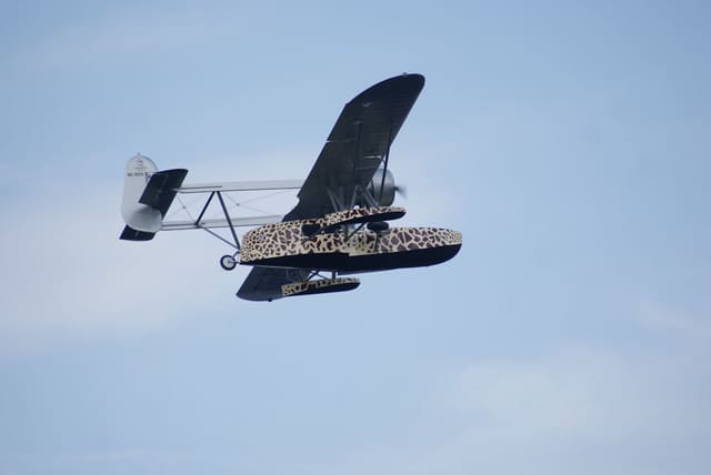 - Single-engine aircraft