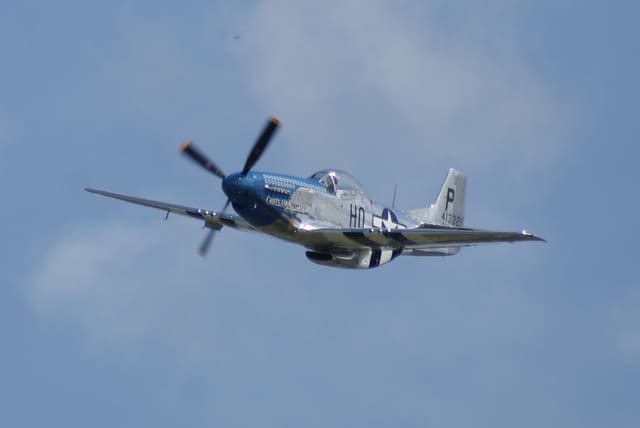 - Warbird