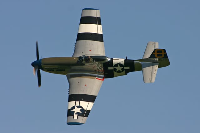 - Warbird
