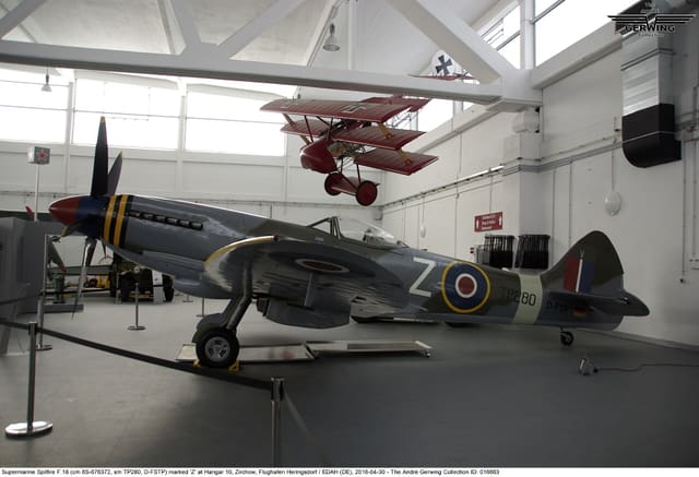 - Warbird