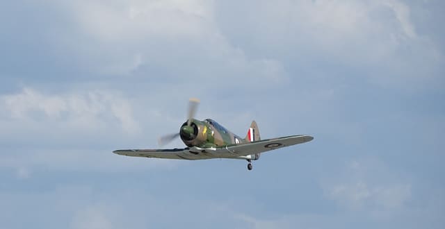 - Warbird