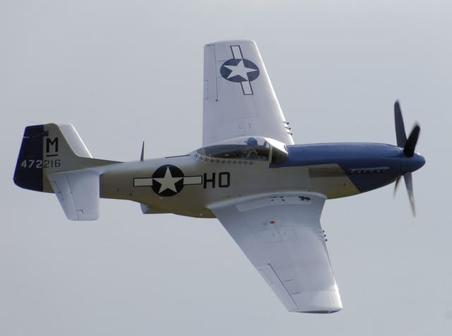 - Warbird