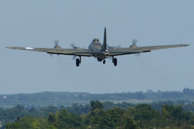 - Warbird