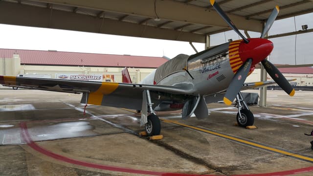 - Warbird
