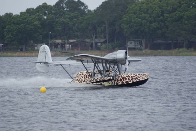 - Single-engine aircraft