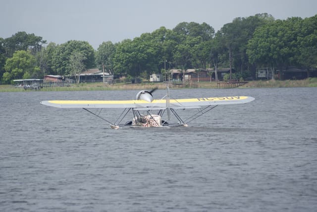- Single-engine aircraft