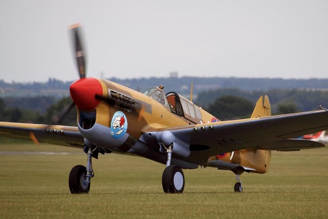 - Warbird