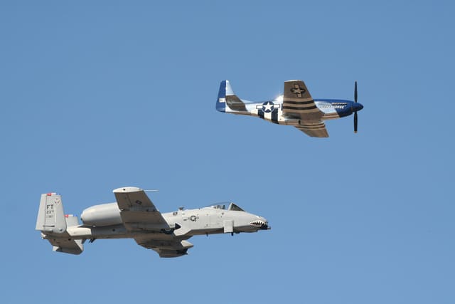 - Warbird