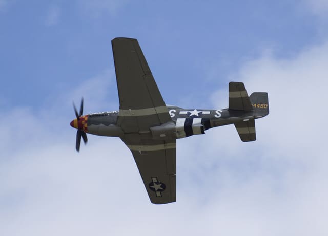 - Warbird