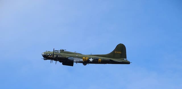 - Warbird