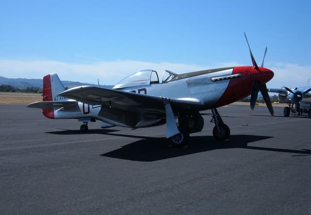 - Warbird