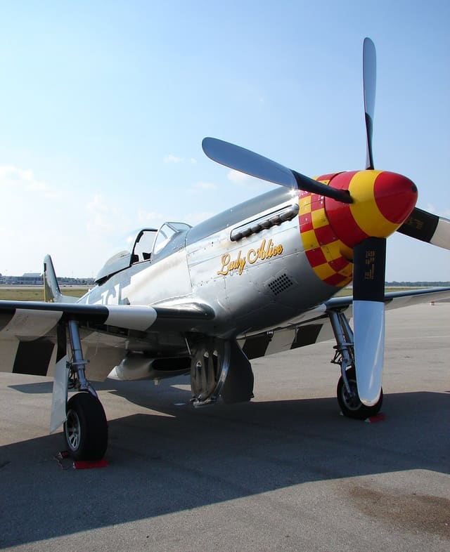 - Warbird