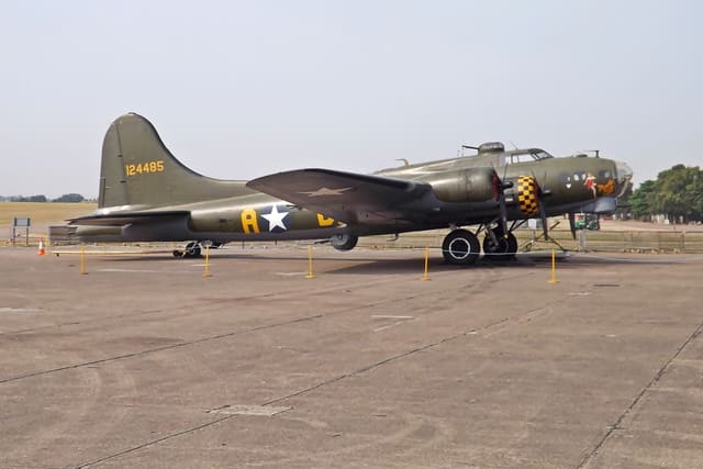 - Warbird