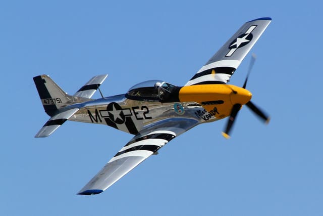 - Warbird