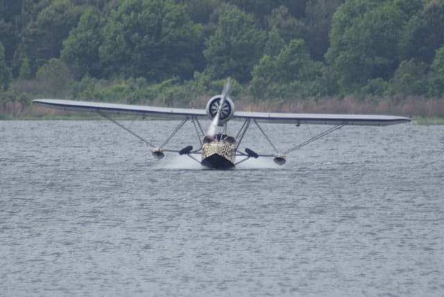 - Single-engine aircraft