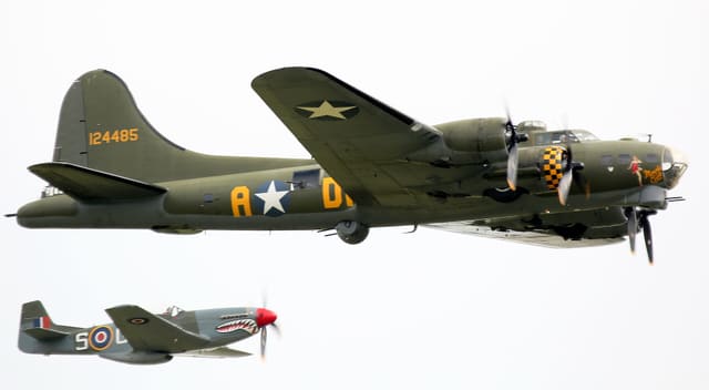 - Warbird