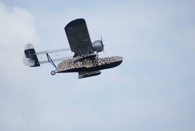 - Single-engine aircraft