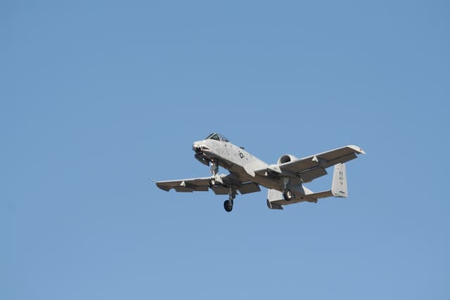 - Warbird