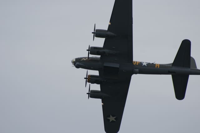 - Warbird