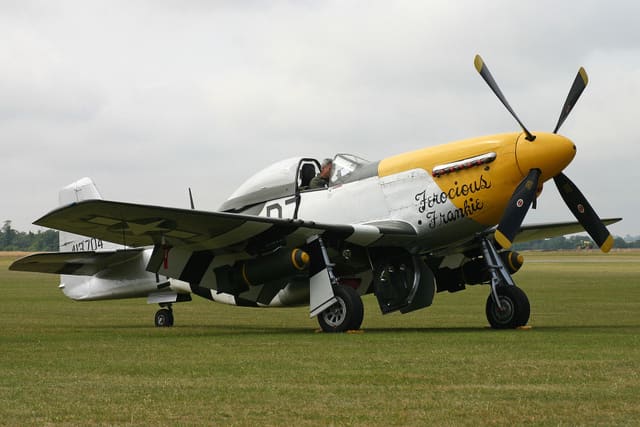 - Warbird
