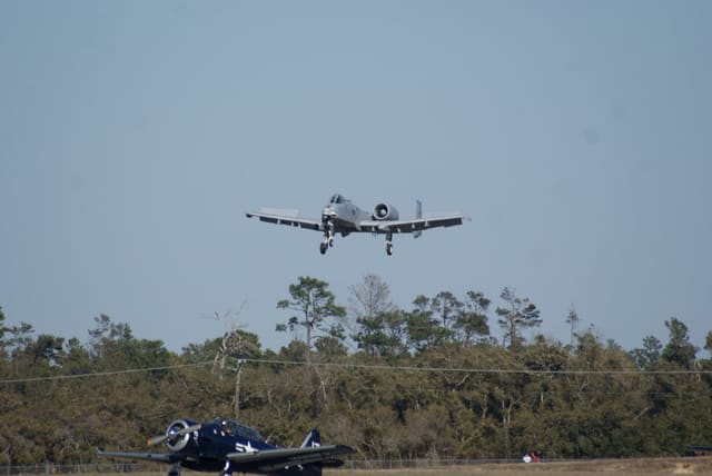 - Warbird