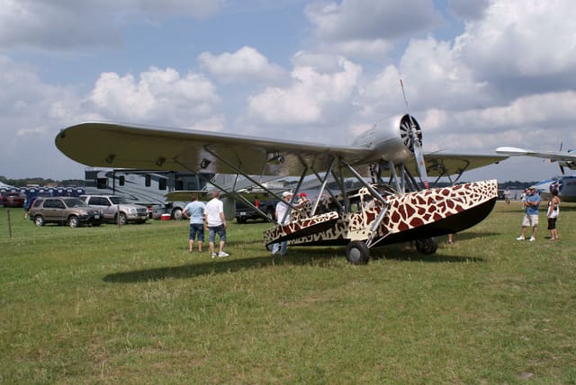 - Single-engine aircraft