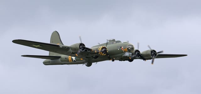 - Warbird