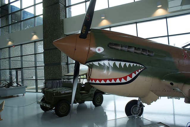 - Warbird