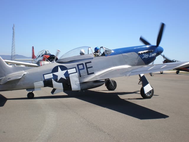 - Warbird