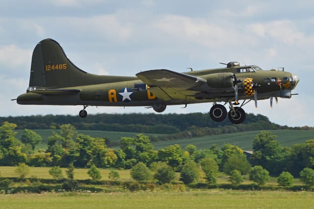 - Warbird