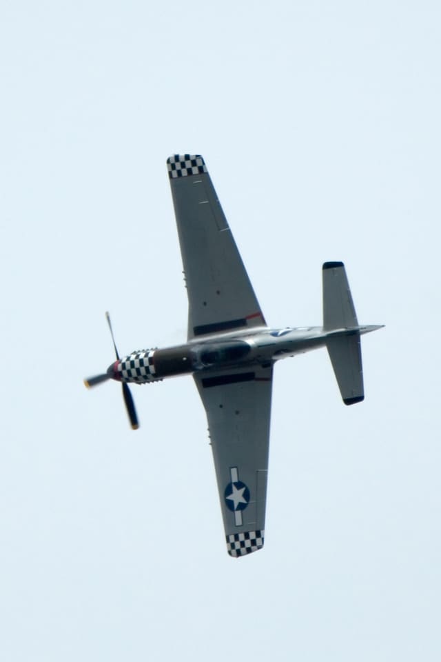 - Warbird