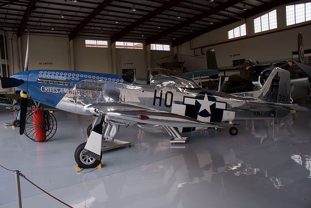 - Warbird