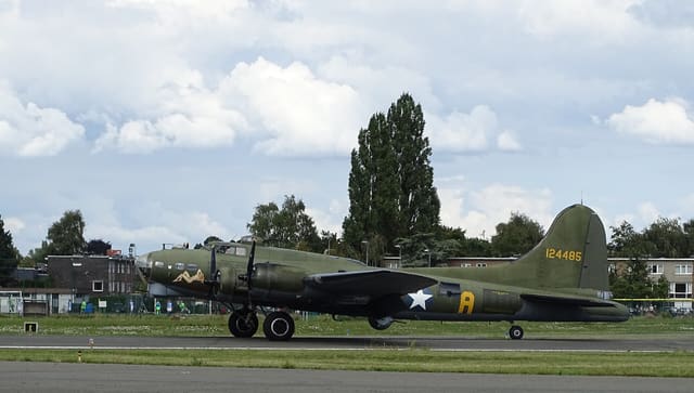 - Warbird