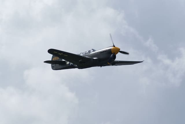 - Warbird