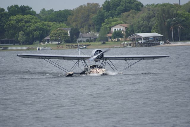 - Single-engine aircraft