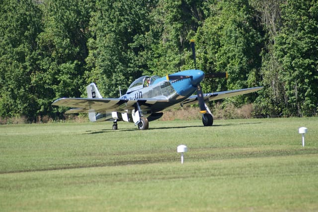 - Warbird