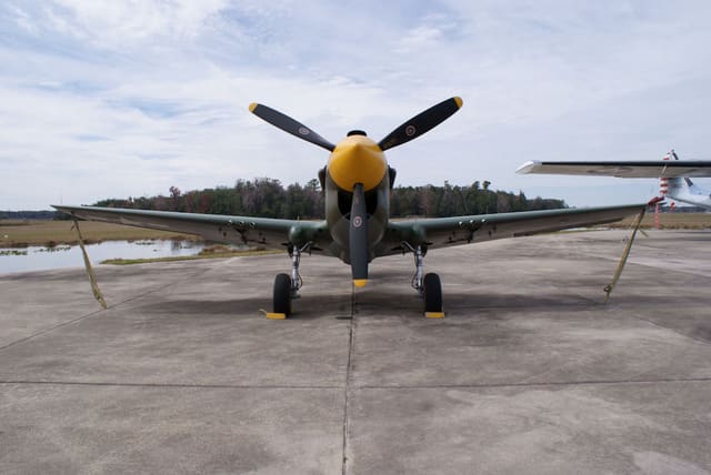 - Warbird