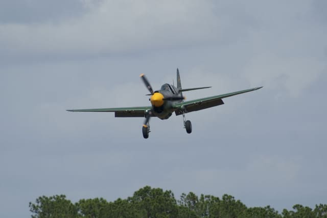 - Warbird