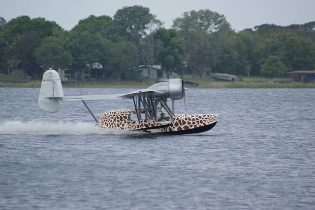 - Single-engine aircraft