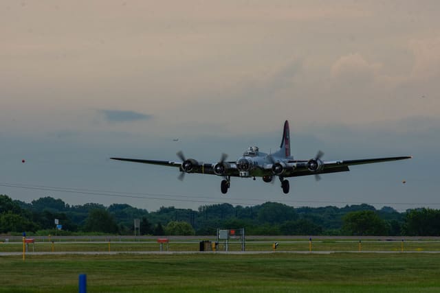 - Warbird