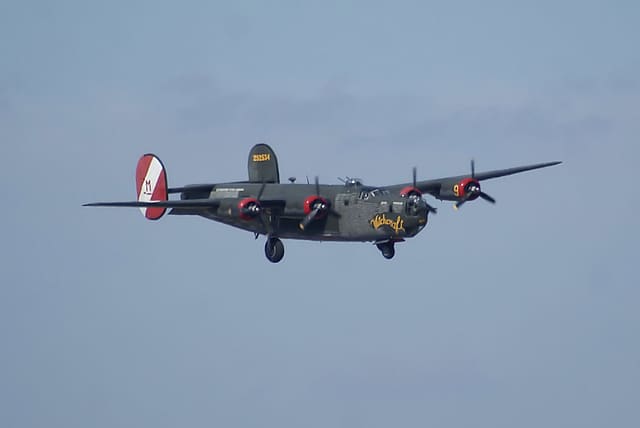 - Warbird