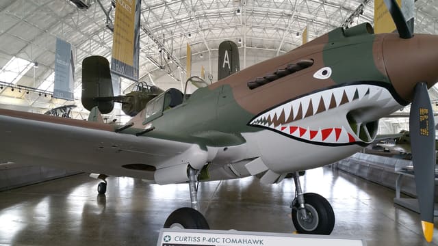 - Warbird