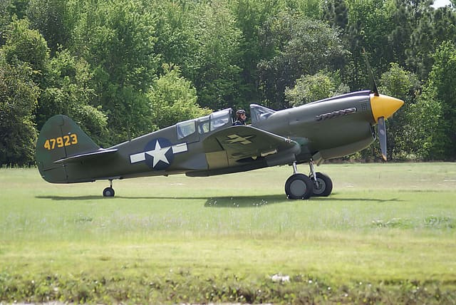 - Warbird
