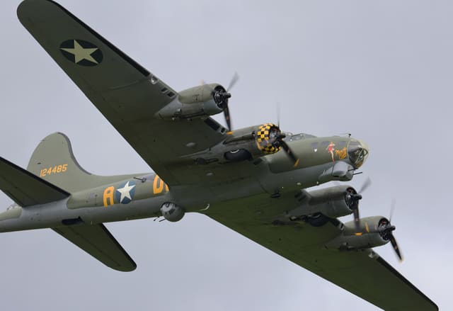 - Warbird