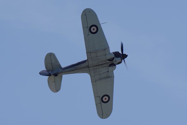 - Warbird
